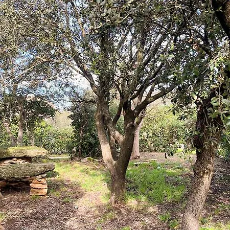 Pet Friendly In Vers-pont-du-gard בית נופש