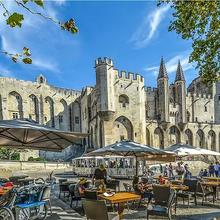 Pet Friendly In Vers-pont-du-gard
